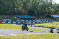 Middle Group Green Bikes